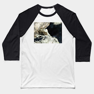 Grand Skink peek-a-boo Baseball T-Shirt